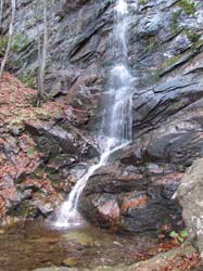 Picture_2 038